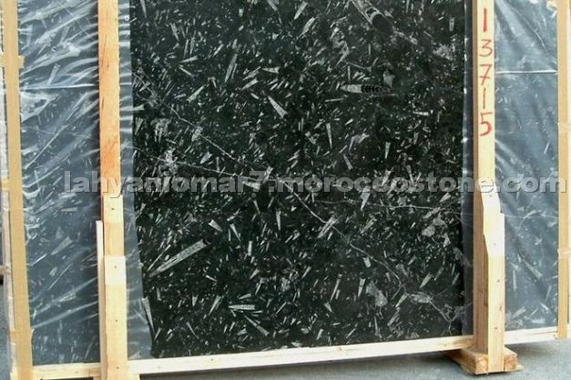 Fossil Black Slabs