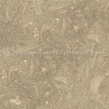 Fossil Limestone