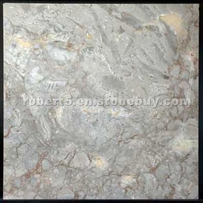 Rustic Grey Polished marble