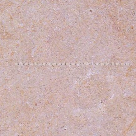 Jerusalem Pink