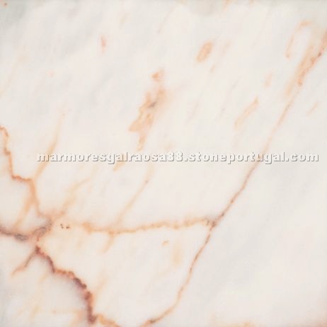 Rosa Aurora Rosa Aurora