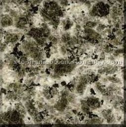 Leopard Skin Granite