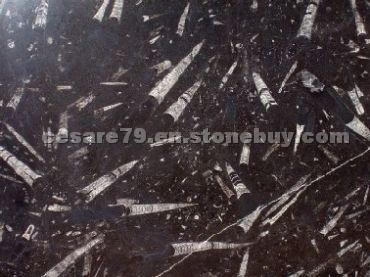 Black Fossil