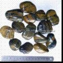 Stripe Pebble Stone