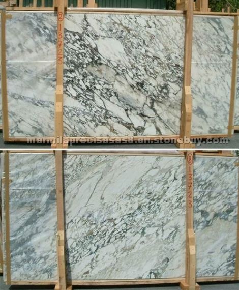 Calacatta Paonazzo marble slab