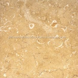 Halila Fossil - Halila Beige