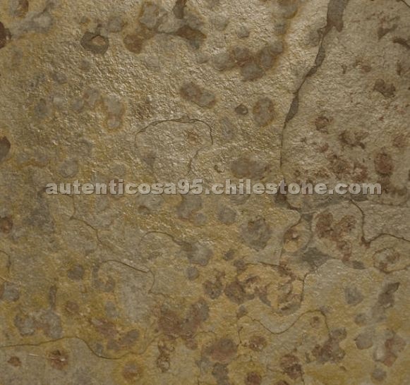 Multicolor Slate Colombia