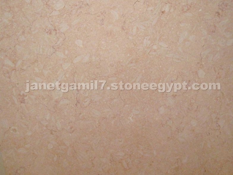 Rosa Delicato - Galala Rosa