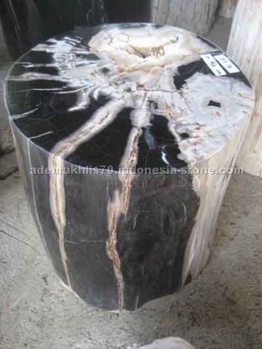 petrified wood fuul polished stools