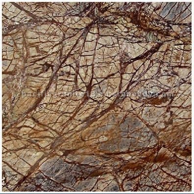 Rainforest Brown