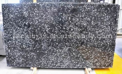 Sea shell flower slab