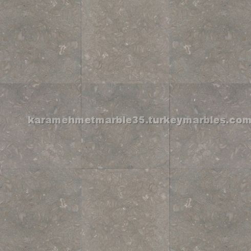 Seagrass Limestone