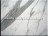 Carrara White