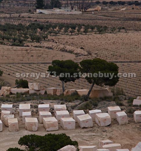 Lumaquela Rosa Quarry - Block