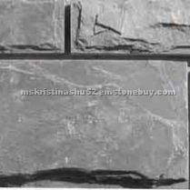 Grey Slate Mushroom 03