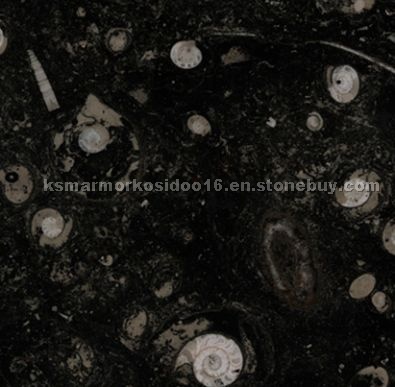 Pietra di erfoud Pietra di erfoud