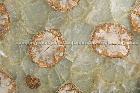 Fossilized Quartz