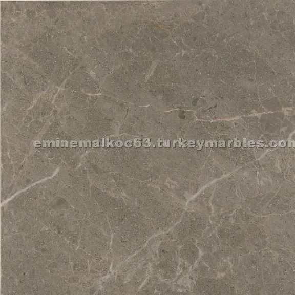 Savana Grey