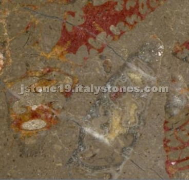 Fossil Red marble