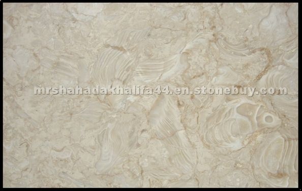 Shell Stone