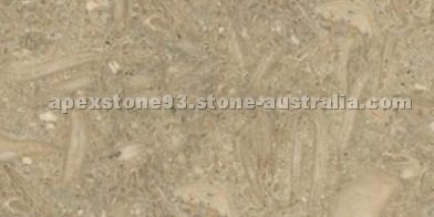 Fossil Ash limestone