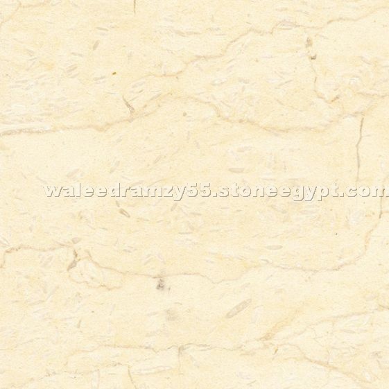 Golden Cream