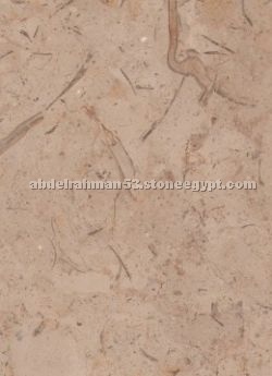 Catrina Marble