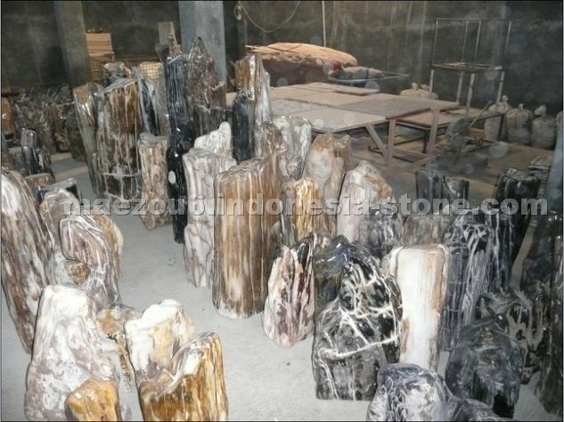 Wood Fossil Natural Stone