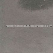 Foussana gray marble