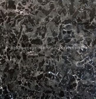 UNS Negro Leopardo 02