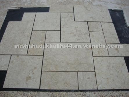 Shells Stone Beige Limestone Pattern