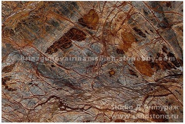 Forest Brown, Rain Forest Brown Marble