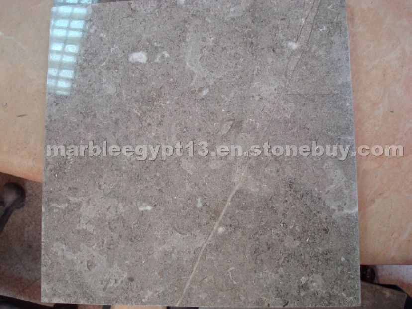Fossil Gray Limestone