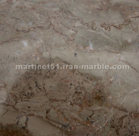 Darya Brown Marble