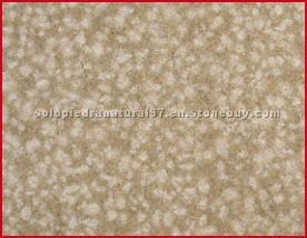 Vinaixa/Floresta Sandstone Vinaixa/Floresta Sandstone