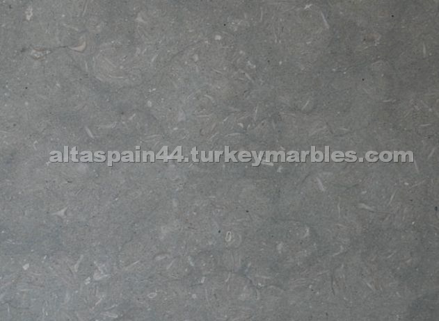 Sea Grass Limestone