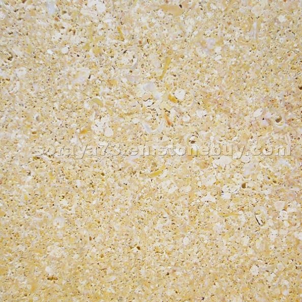 Golden Shellstone