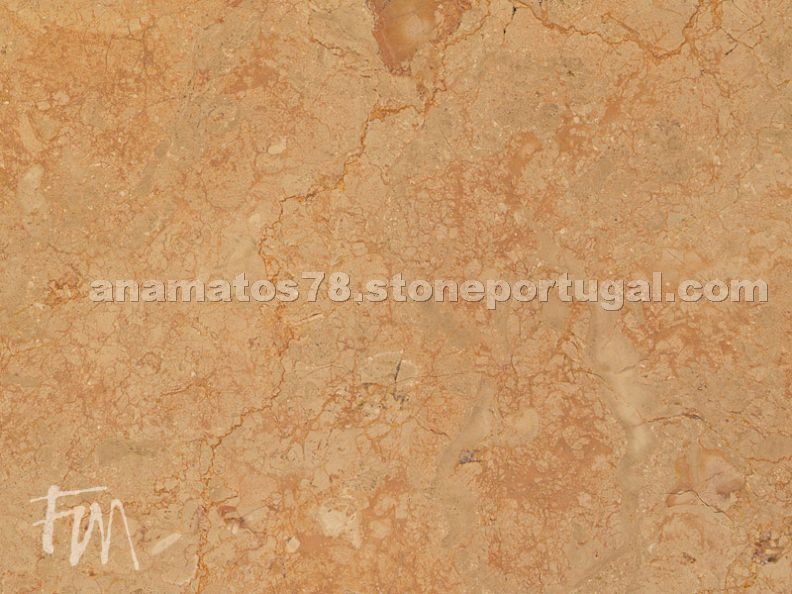 Brecha Tavira Vermelha Limestone