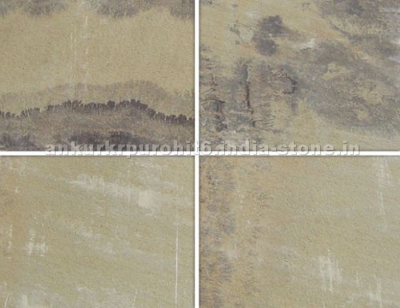 Fossil Mint Sandstone