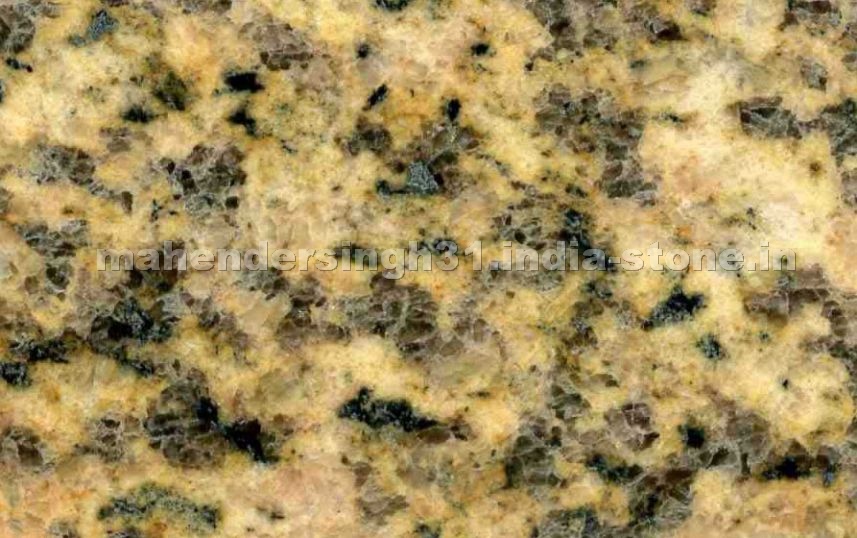 Yellow Tiger Skin