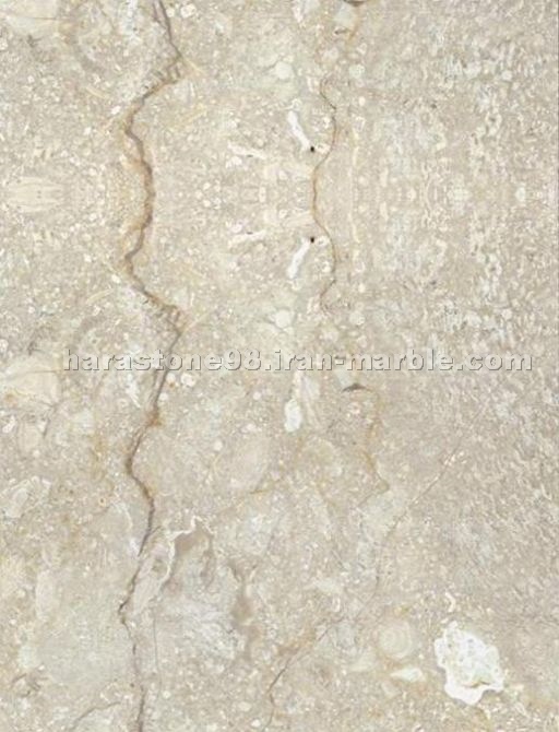 Shell Beige Limestone
