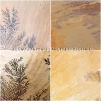 Fossil Sandstone