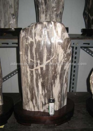 petrified wood home decor