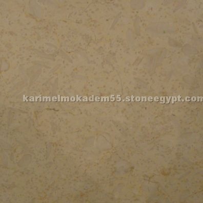 Marlin AB021 Marlin AB021