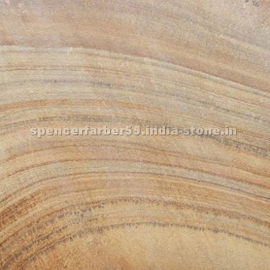 Fossil Mint Sandstone