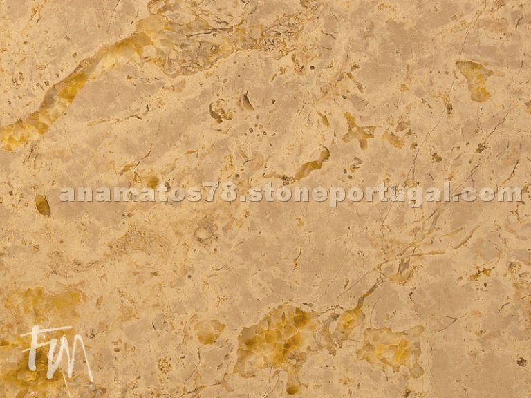 Brecha de St Antonio Limestone