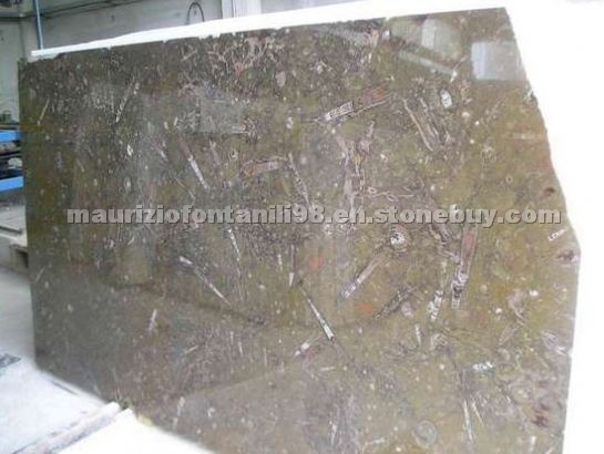 Brown Fossil Marble Slabs