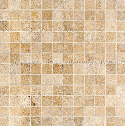 Seashell Limestone Mosaic