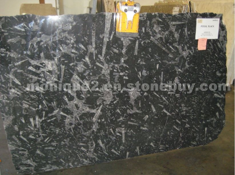 Fossil Black marble slabs