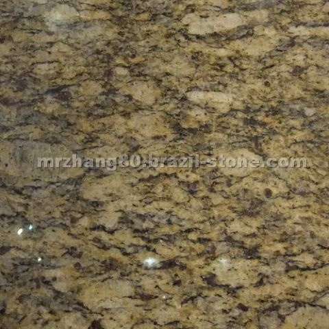 Santa cecilia gold tiles